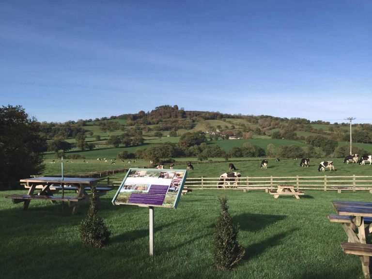 Otter Valley Dairy Ice Cream & Field Kitchen Otter Valley Dairy