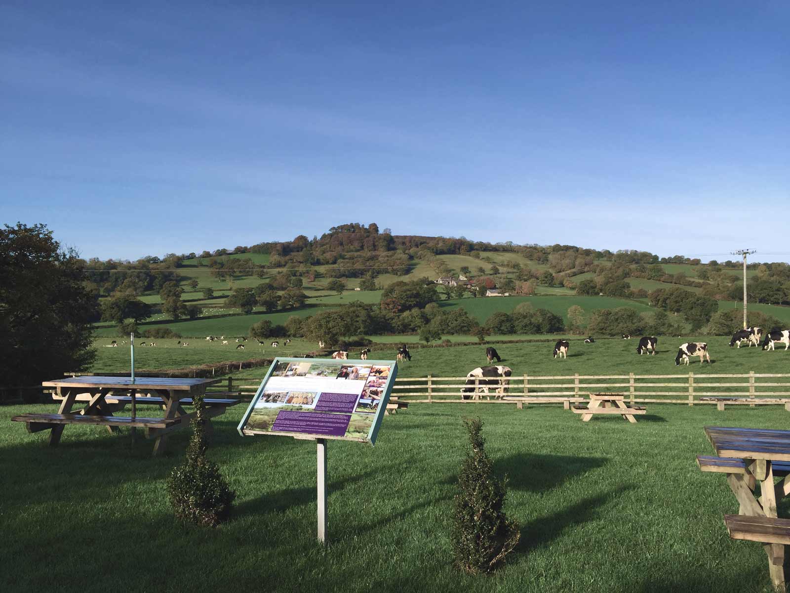 Otter Valley Dairy Ice Cream & Field Kitchen Otter Valley Dairy